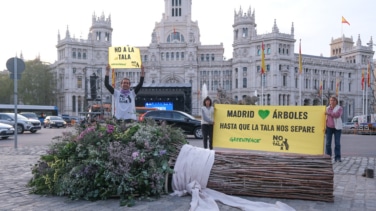 Greenpeace y No a la Tala regalan a Almeida un ramo de boda realizado con ramas de talas de Madrid