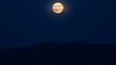 Luna llena abril 2024: qué día podremos ver la Luna Rosa