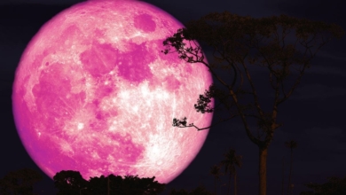 Luna Rosa de abril: por qué se llama así y a qué hora sale