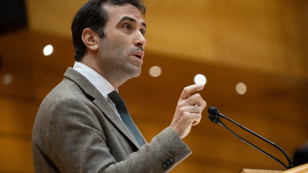 El ministro de Economía, Comercio y Empresa, Carlos Cuerpo, durante un pleno en el Senado.