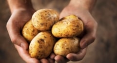 Los motivos por los que no deberías comer patatas con brotes