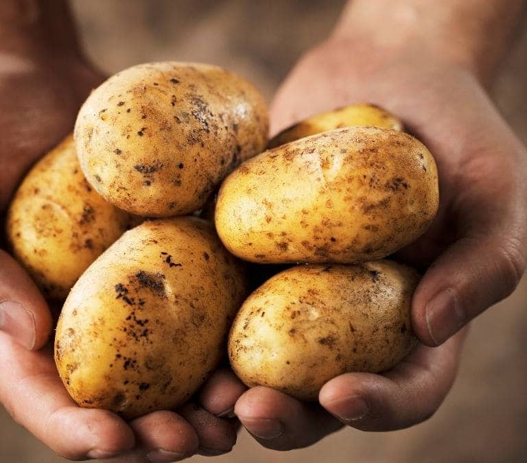 Los motivos por los que no deberías comer patatas con brotes