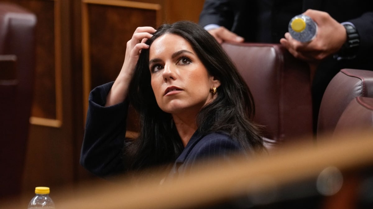 La portavoz de Vox en la cámara, Pepa Millán, durante el pleno celebrado por el Congreso