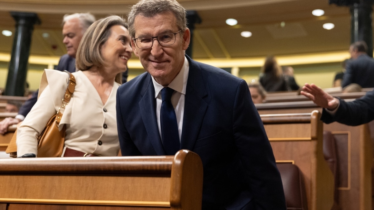 La secretaria general del PP, Cuca Gamarra y el líder del PP, Alberto Núñez Feijóo, durante una sesión plenaria, en el Congreso