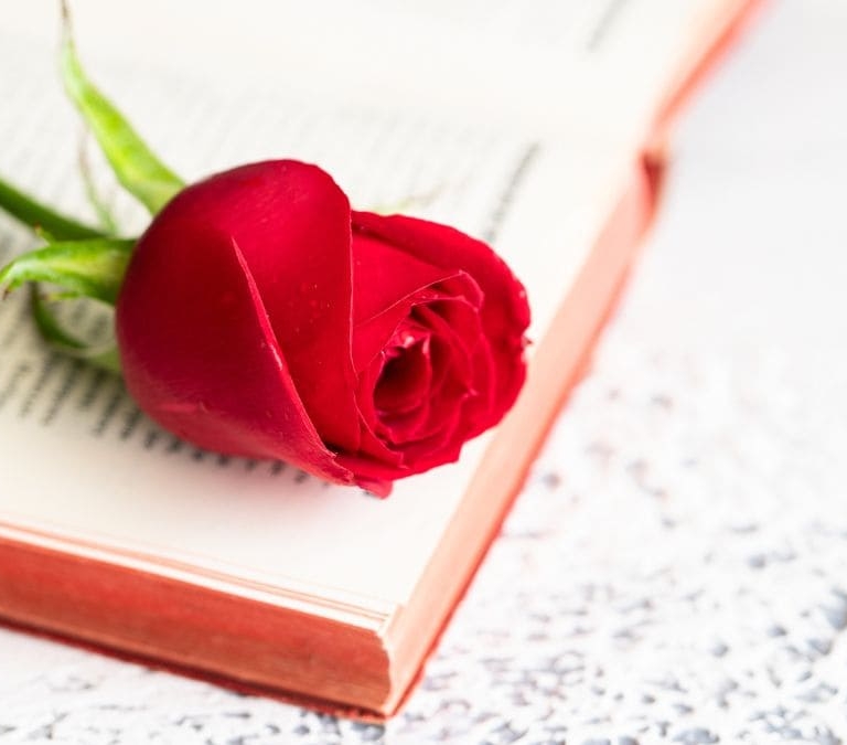 ¿Te han regalado una rosa por el Día del Libro? Así puedes conservarla para que dure más tiempo bonita