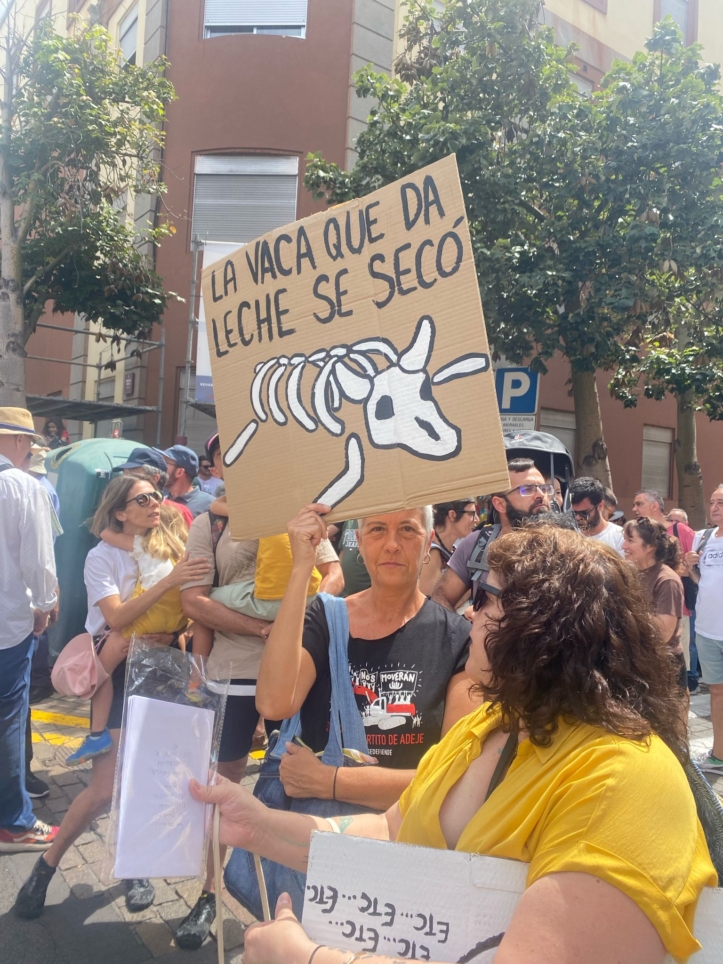 Miles de manifestantes protestan contra el turismo en Canarias bajo el ...