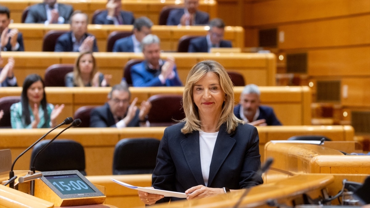 La portavoz del PP en el Senado, Alicia García, se dirige a la tribuna de la Cámara Alta para defender el veto del PP a la amnistía