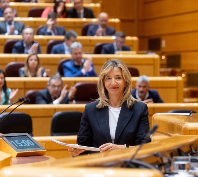 El Senado veta la ley de amnistía y la devuelve al Congreso para su paso definitivo al BOE