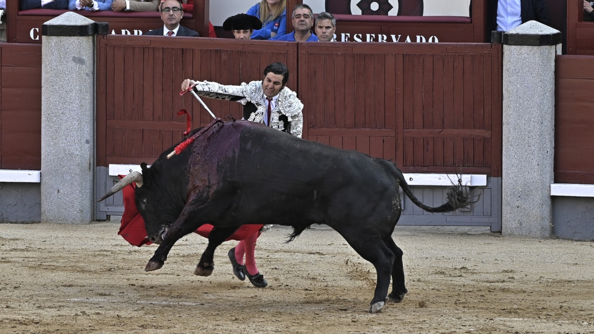 Madrid anuncia sus propios Premios de Tauromaquia impulsados por la Fundación Toro de Lidia