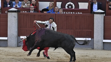 Madrid anuncia sus propios Premios de Tauromaquia impulsados por la Fundación Toro de Lidia