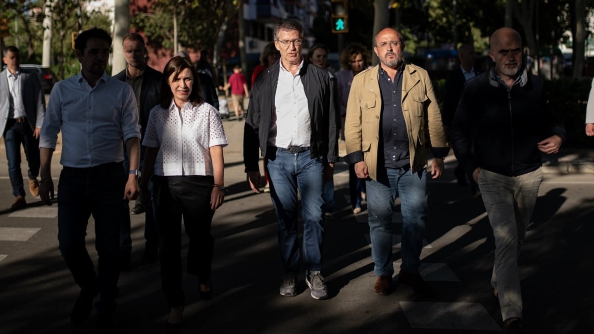"El PP ha vuelto": Feijóo sube en votos y escaños y hace el sorpasso a Vox,