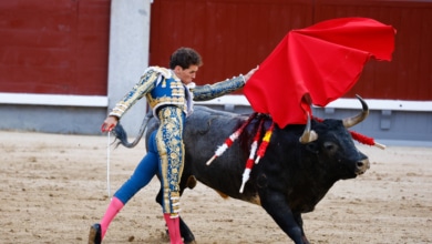 Animalistas piden al Papa condenar la tauromaquia por "ser un pecado"