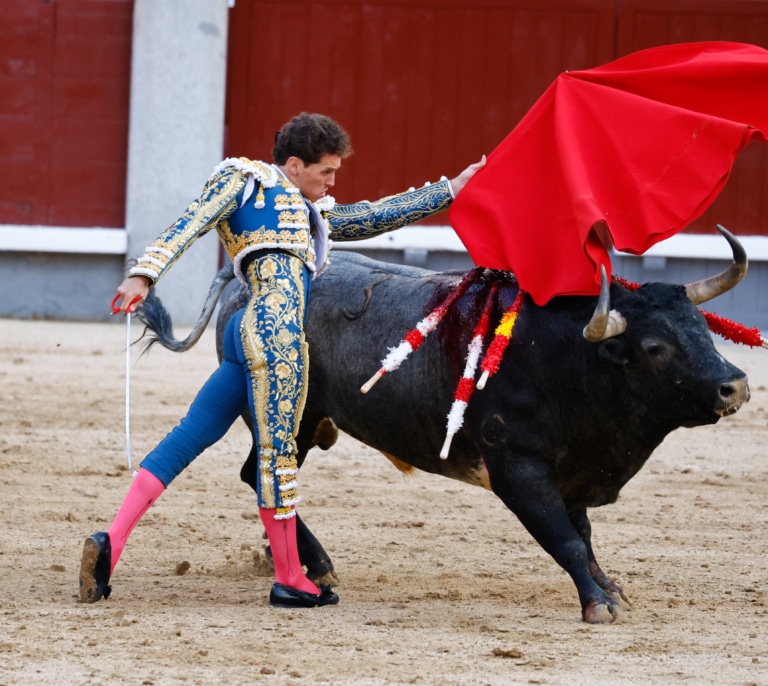 Animalistas piden al Papa condenar la tauromaquia por "ser un pecado"