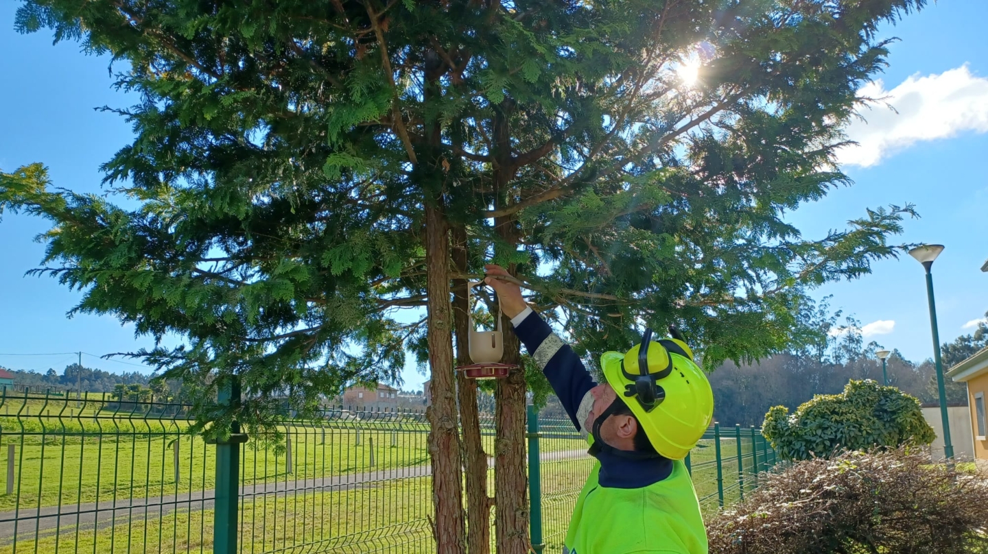 Trabajador de Veolia instalando una caja nido