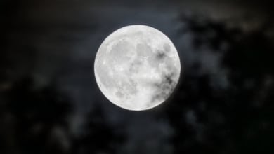 Luna llena de mayo 2024: ¿Por qué se llama luna de las flores? 