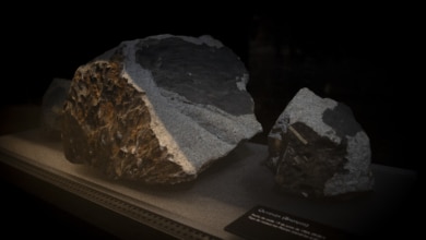 El rastro perdido del meteorito de Olivenza 100 años después: "No sabemos cómo, pero han aparecido trozos por todo el mundo"