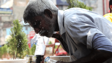 La ola de calor rompe termómetros en la India: 52,3 grados en Nueva Delhi