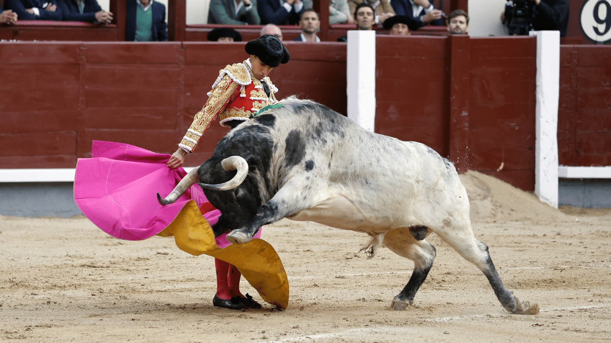 El diestro Ángel Tellez en Las Ventas en la Feria de San Isidro de 2023.