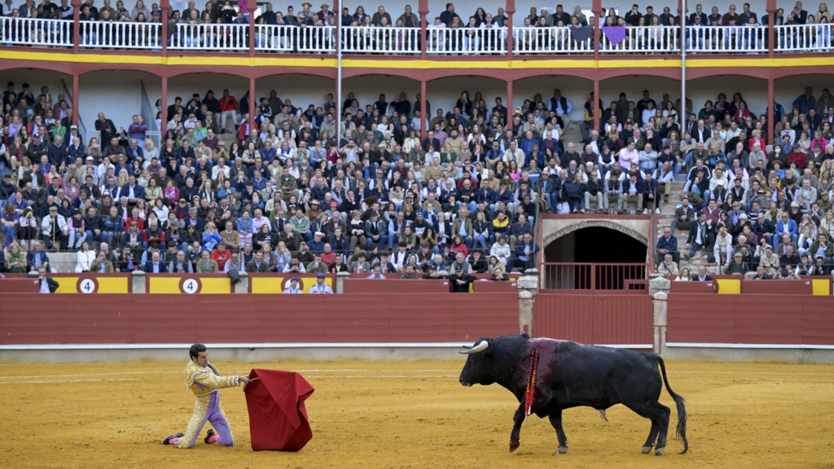 El torero Emilio de Justo en la lidia a uno de los de su lote, durante la corrida celebrada este domingo en la plaza de toros de Ciudad Real.