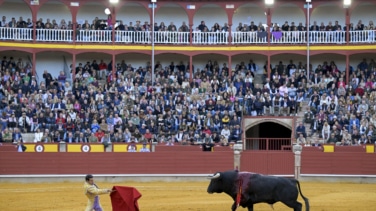 El PP reclamará en el Senado la restitución del Premio Nacional de Tauromaquia
