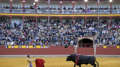 El PP reclamará en el Senado la restitución del Premio Nacional de Tauromaquia