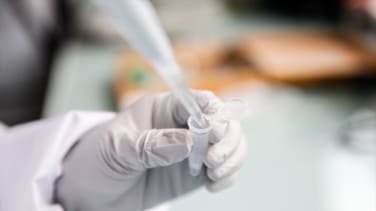 Detectan un caso de tuberculosis en un colegio de País Vasco y activan el protocolo de actuación en cinco centros escolares