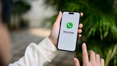 Llega la nueva actualización de WhatsApp: la explicación del color verde en los mensajes