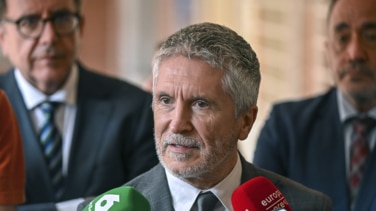 Marlaska elige a un coronel experto en fronteras para la embajada de Israel