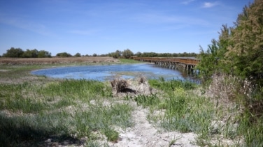 WWF denuncia la sobreexplotación y el robo del agua en Las Tablas de Daimiel
