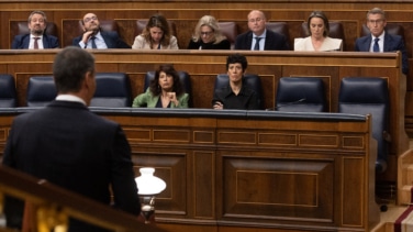 ¿Plebiscito para Sánchez o para Feijóo?