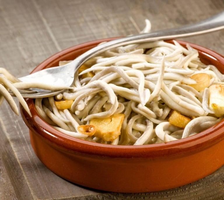 Pescador de angulas, un privilegio que Euskadi sólo concederá a 150 profesionales