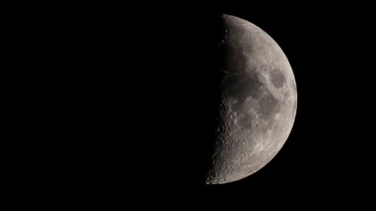 La ¿solución? para proteger a las especies amenazadas: crear un almacén de muestras biológicas en la Luna