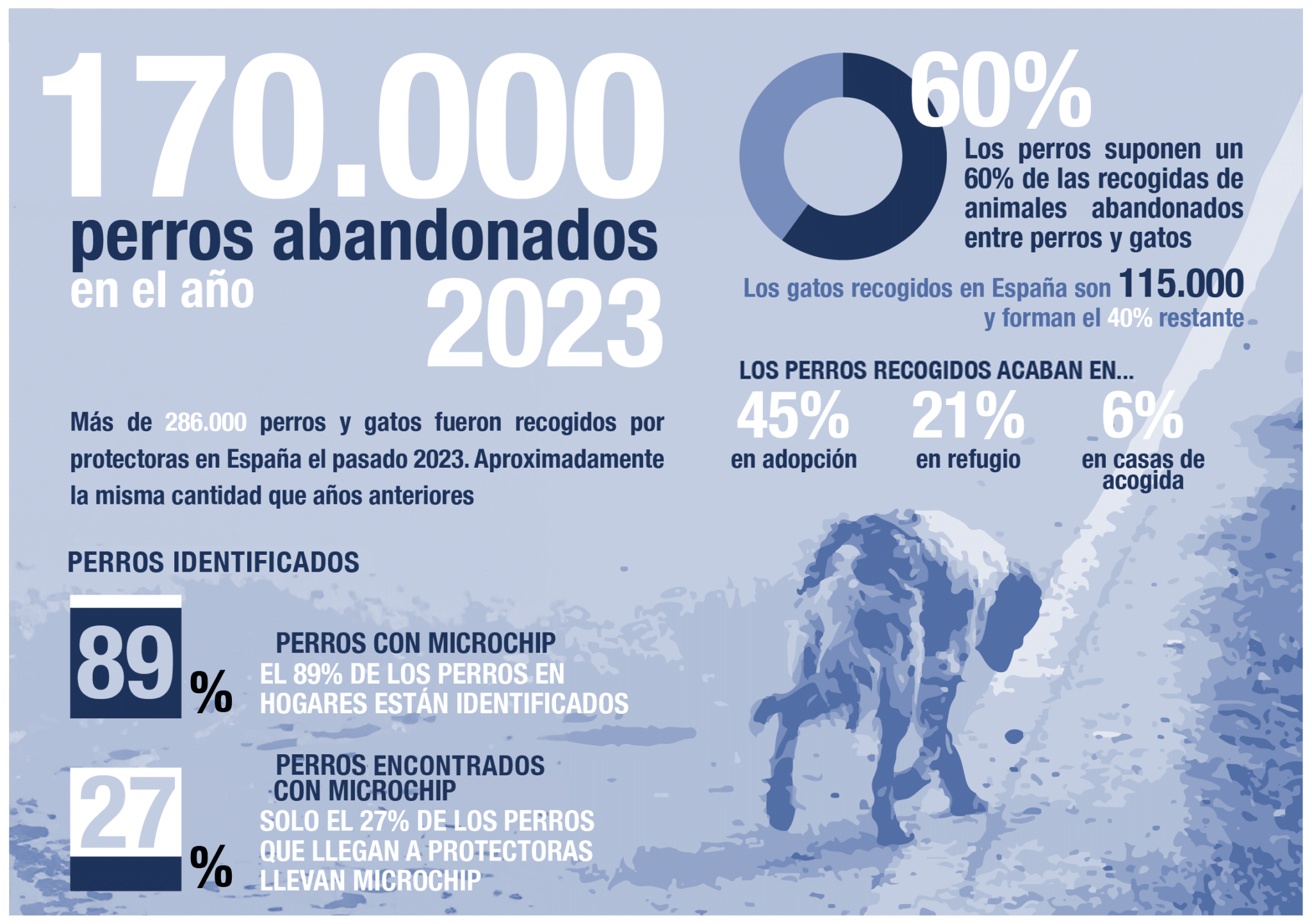 Gráfico informativo sobre el abandono de perros en España.