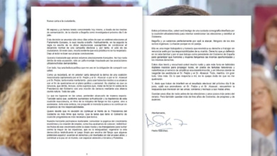 Consulte aquí la carta íntegra de Pedro Sánchez