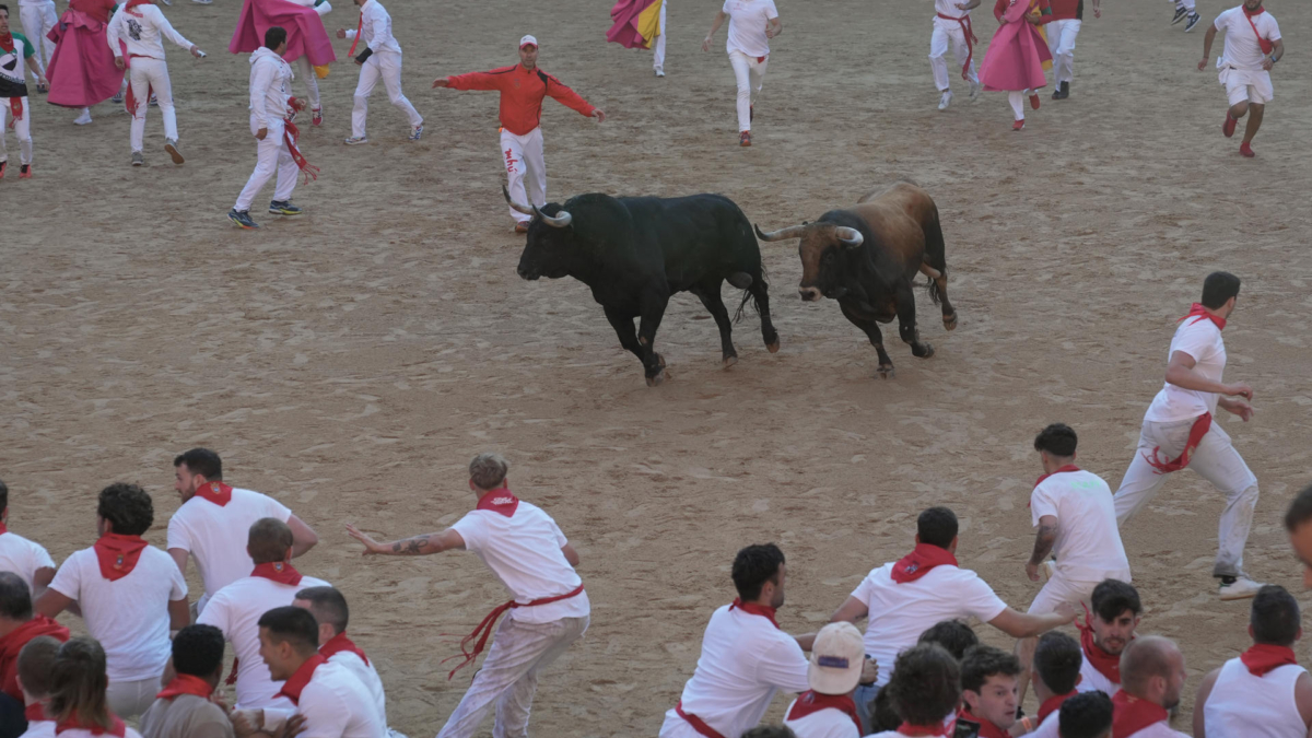 Los dos toros sueltos de La Palmosilla por el ruedo de Pamplona.