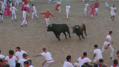 Máxima tensión con dos toros sueltos en el ruedo en el primer encierro de los Sanfermines