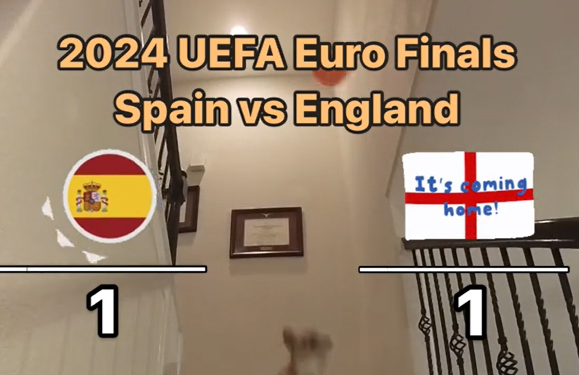 El perro que adivina los resultados de la Eurocopa predice el resultado de la final