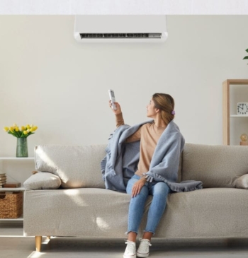 Las olas de calor son caras, y las de este verano más [...]