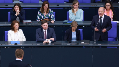 Alternativa por Alemania funda un nuevo grupo de ultraderecha en la Eurocámara sin Alvise