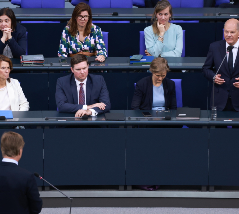 Alternativa por Alemania funda un nuevo grupo de ultraderecha en la Eurocámara sin Alvise