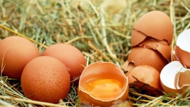 Siete ingresos y más de 400 afectados por el brote de salmonelosis en Barbastro (Huesca)