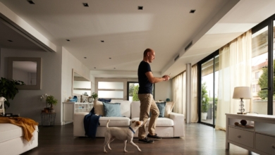 Así es el nuevo seguro para perros Allianz Mascotas: Visitas veterinarias gratuitas, asistencia 24/7 y más por 73€ anuales
