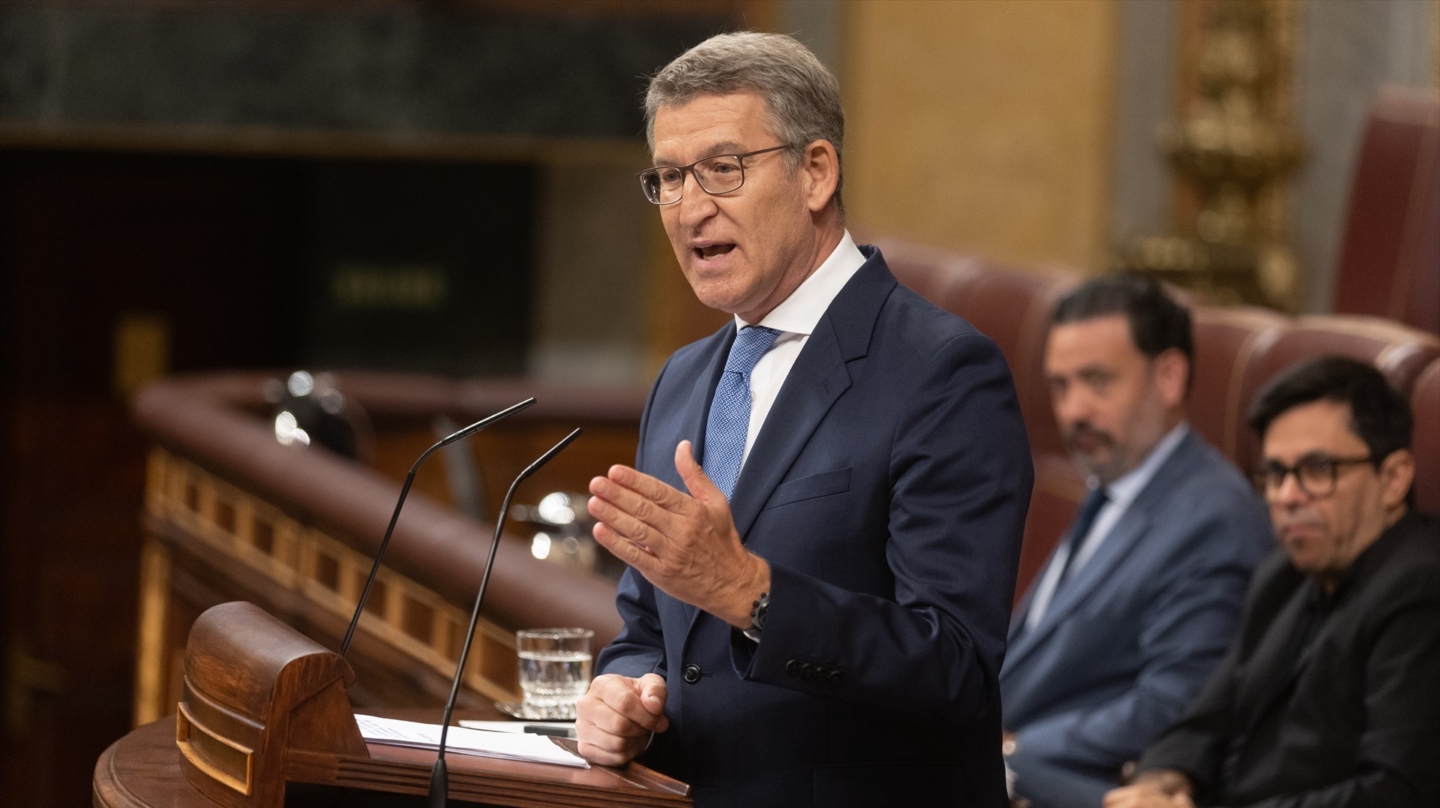 Alberto Núñez-Feijóo, en el Congreso.