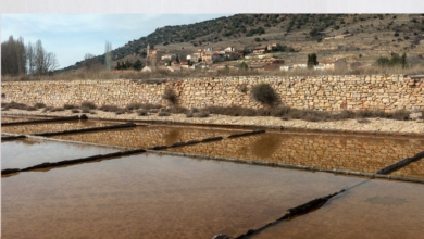 Qué son las Salinas de Imón ubicadas a 53 minutos de Brihuega y cómo funcionan