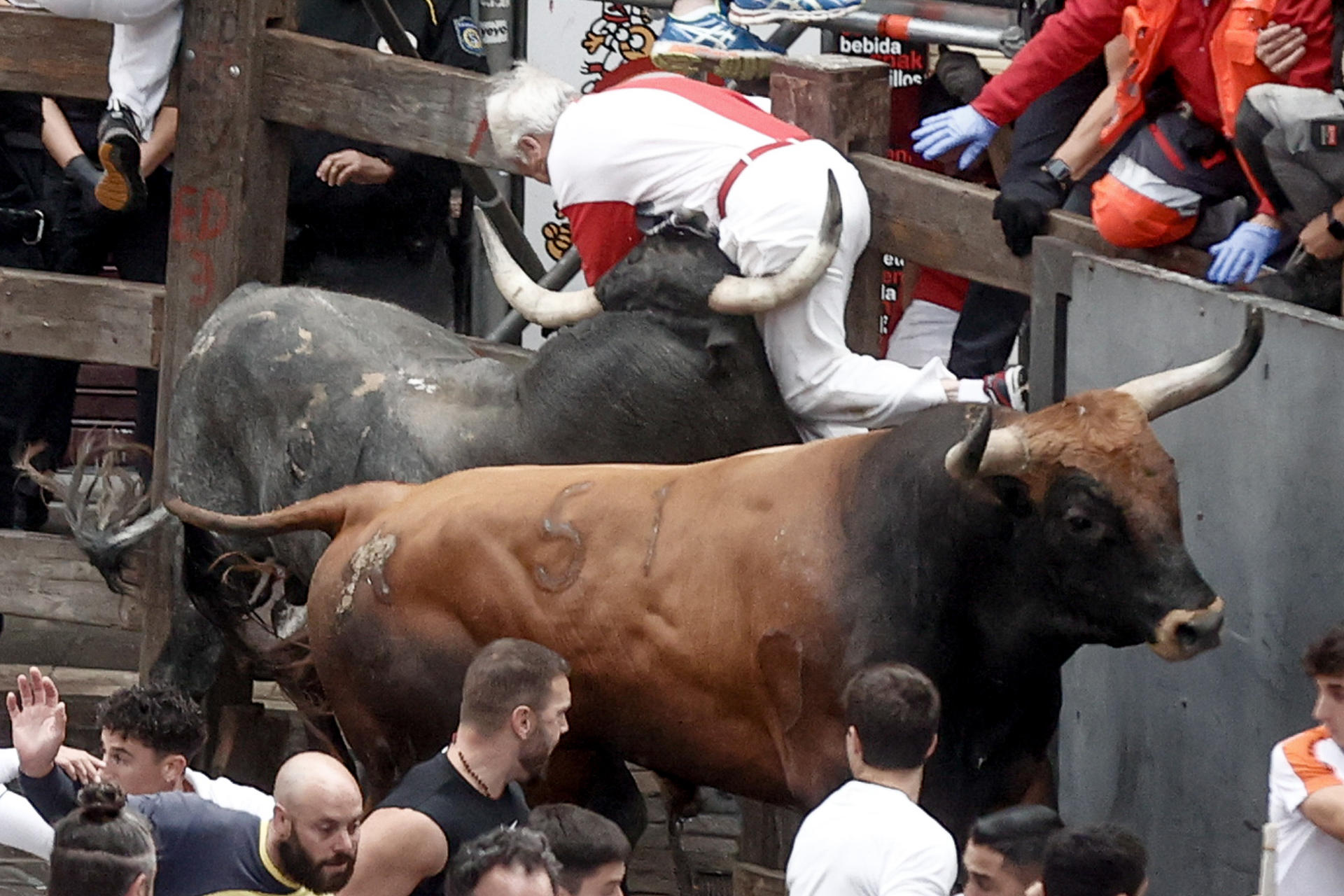 Los Miura arrollan en el último encierro de San Fermín 2024