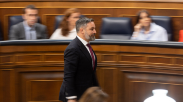 Vox reconoce el daño tras la desbandada por la ruptura con el PP