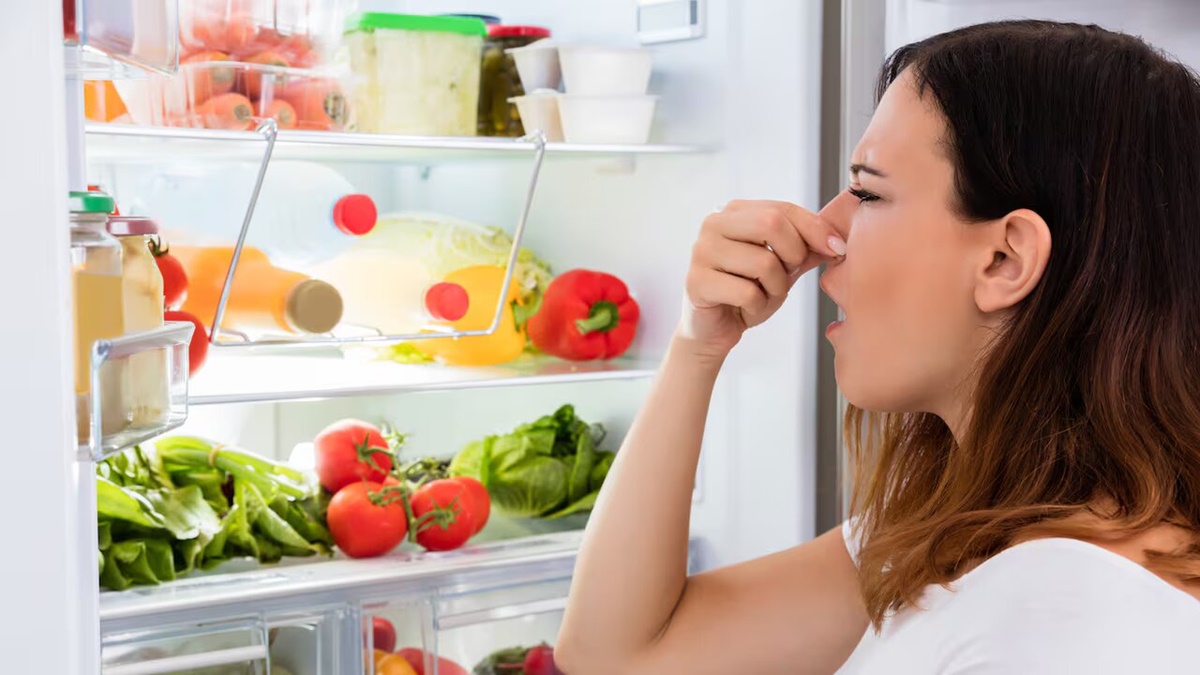 Cómo eliminar los malos olores de la nevera /Shutterstock