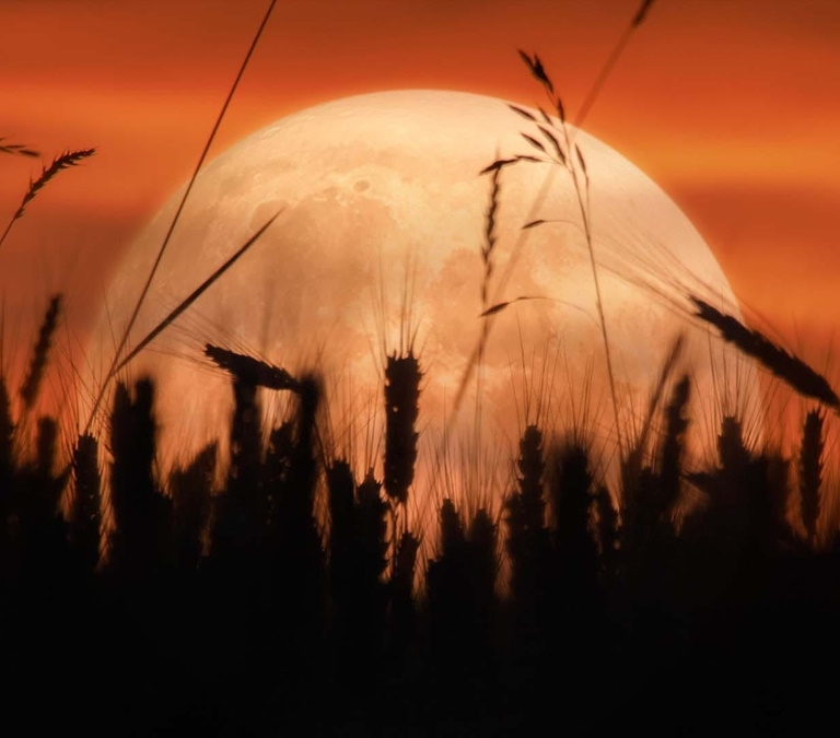 Cuándo es luna llena en septiembre 2024: cómo y dónde ver la Superluna de la cosecha