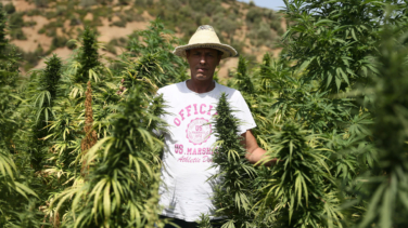 El boom del hachís de Mohamed VI que amenaza España