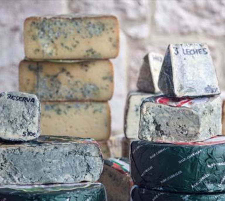 Crean una base de datos con más de 10.000 microbios presentes en nuestra comida